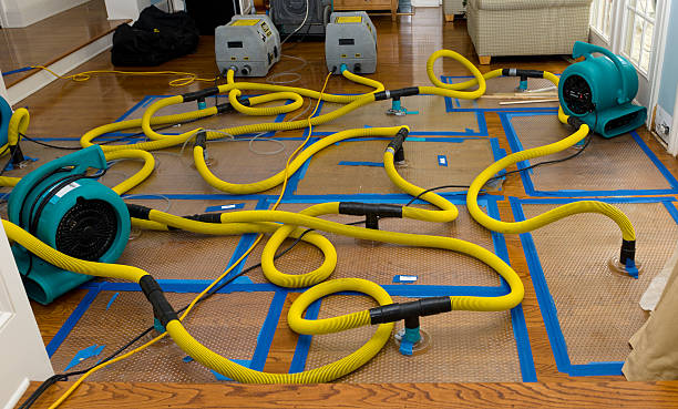 Professional Water Damage Repair technician working in Richland, MS